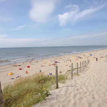 Seabreeze - Near Zandvoort Aan Zee